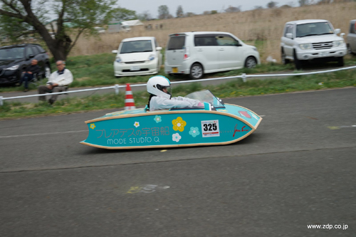 zdp31