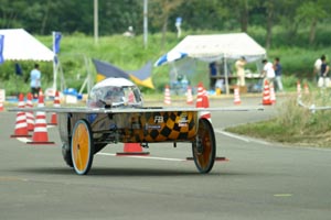 y161