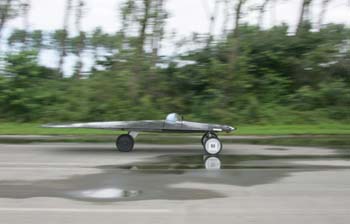 y6w_119